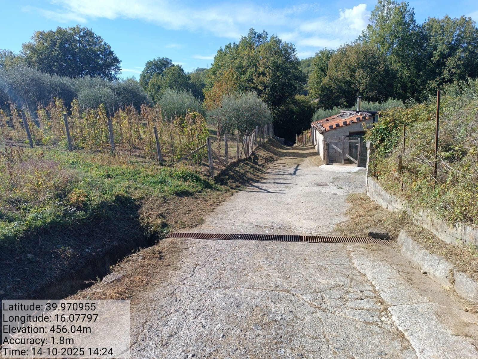 Galleria Fotografica Immagine