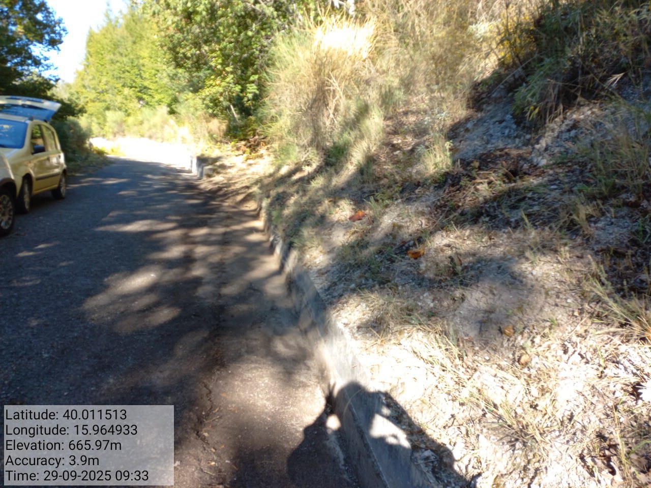 Galleria Fotografica Immagine