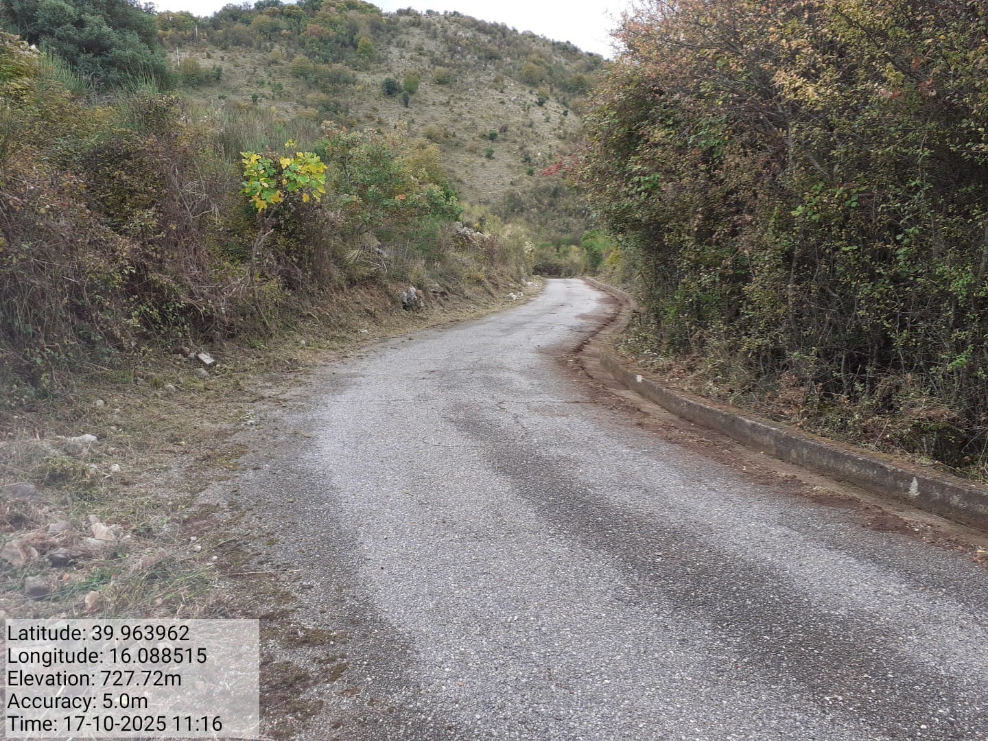 Galleria Fotografica Immagine