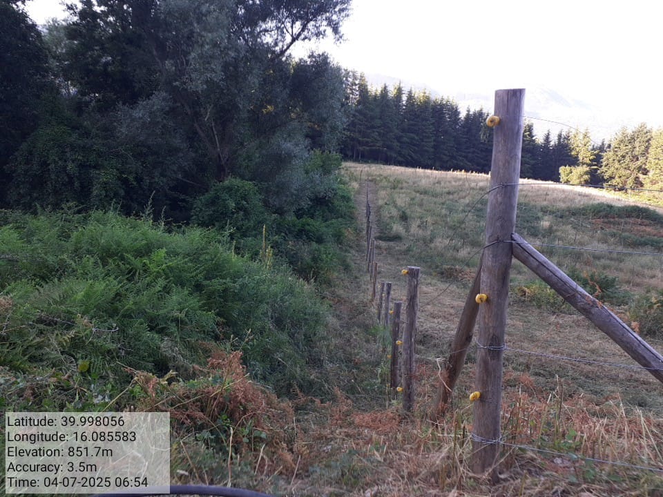 Galleria Fotografica Immagine