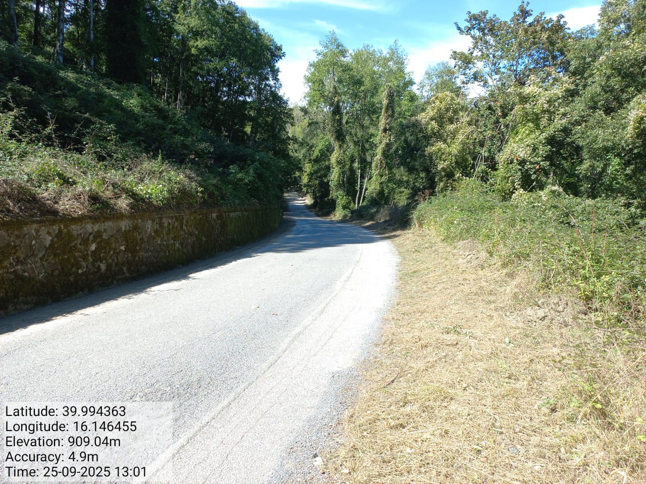 Galleria Fotografica Immagine