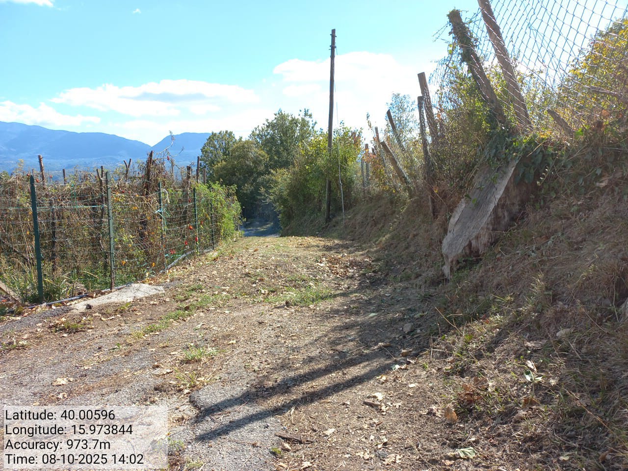 Galleria Fotografica Immagine