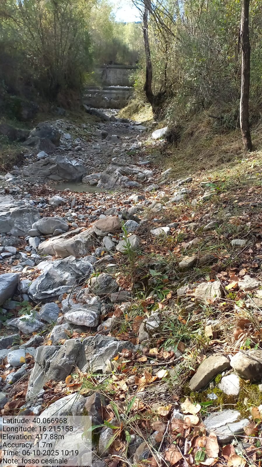 Galleria Fotografica Immagine