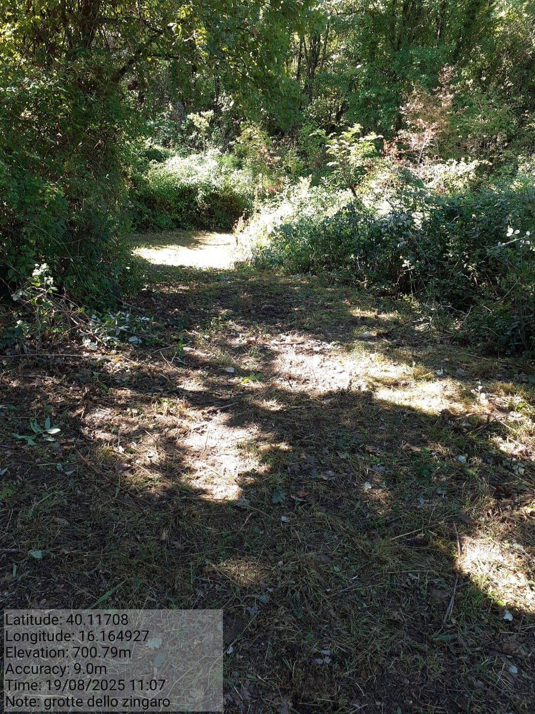 Galleria Fotografica Immagine