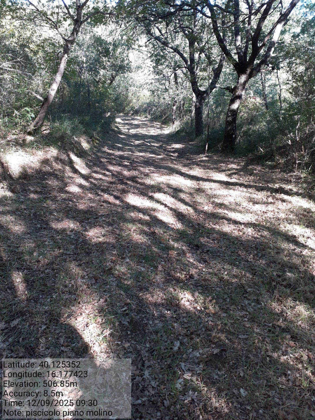 Galleria Fotografica Immagine