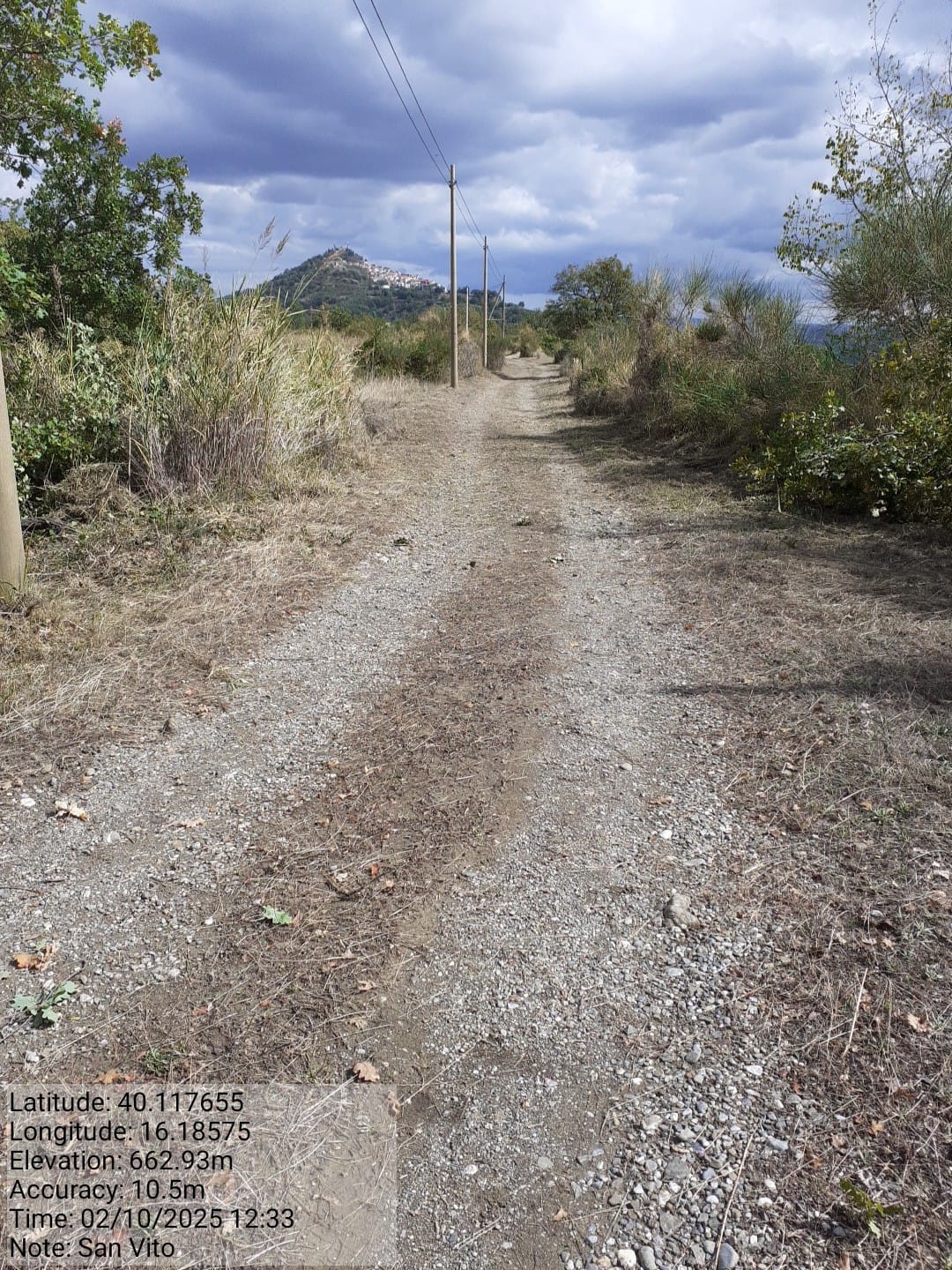 Galleria Fotografica Immagine