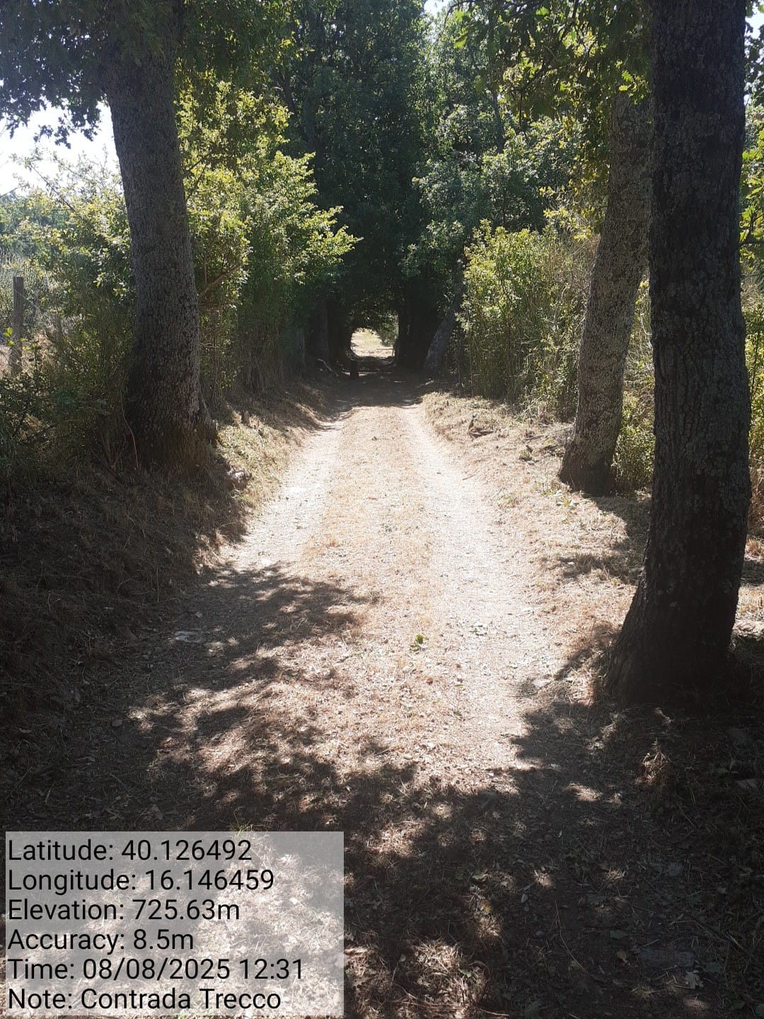 Galleria Fotografica Immagine