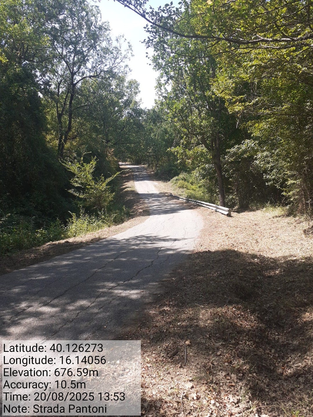 Galleria Fotografica Immagine