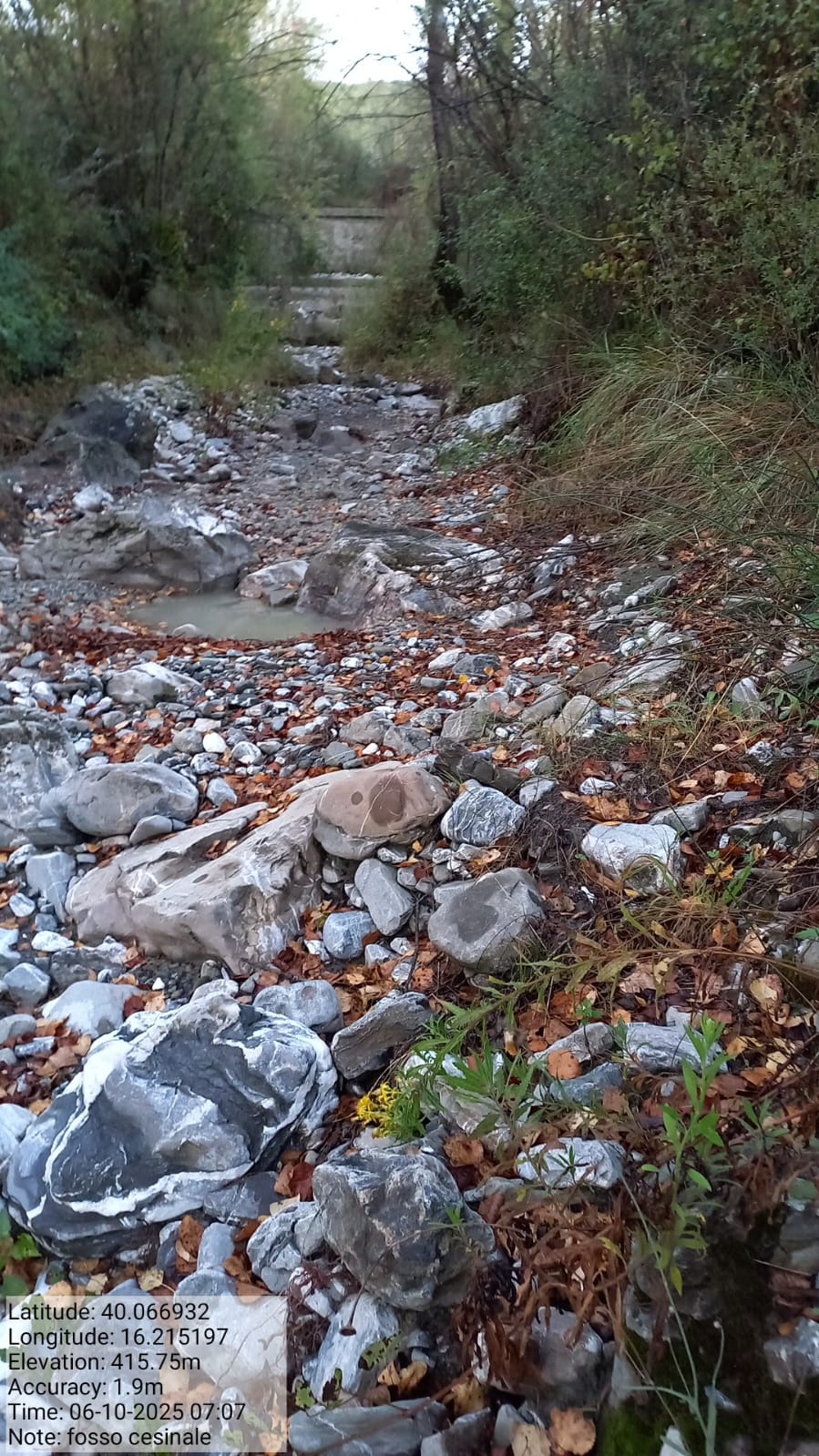 Galleria Fotografica Immagine