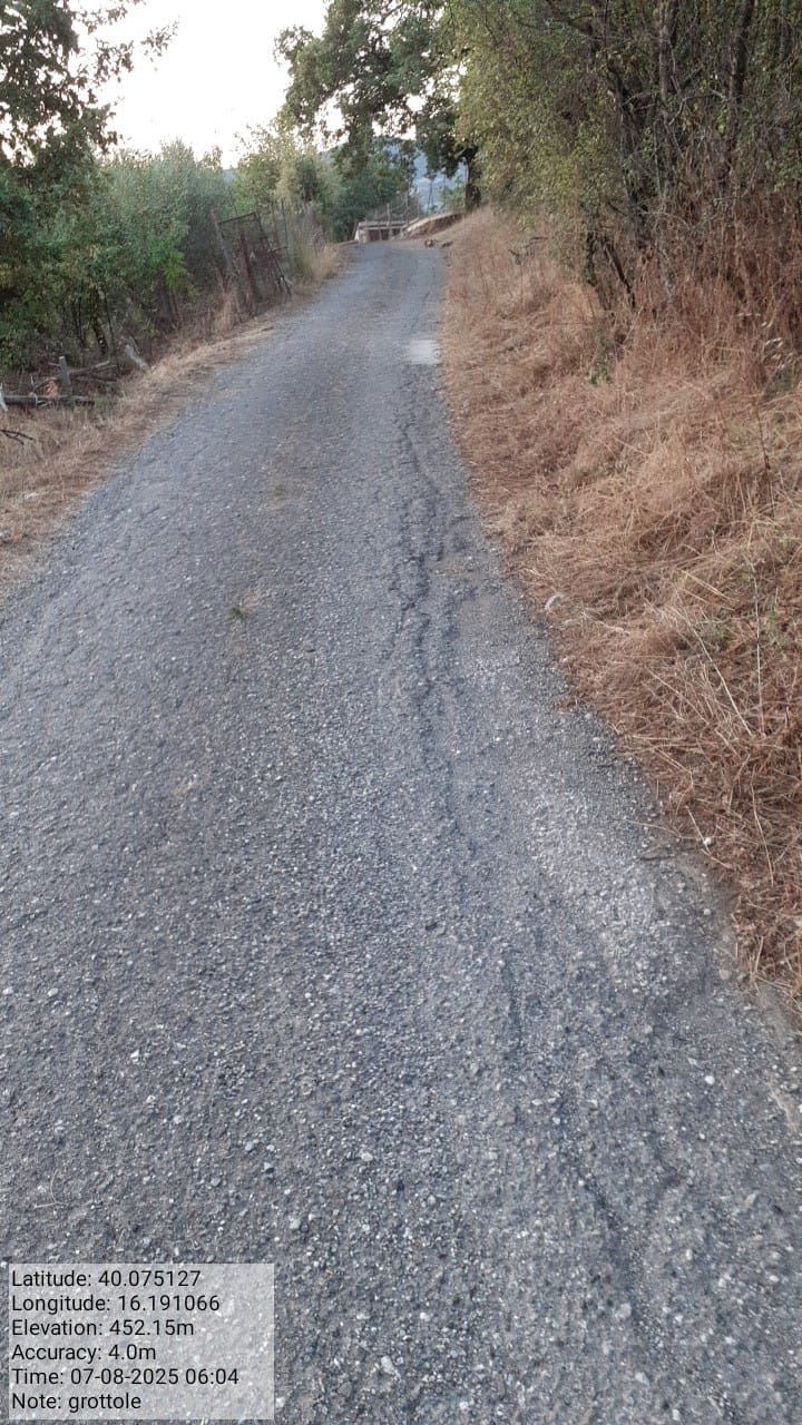 Galleria Fotografica Immagine