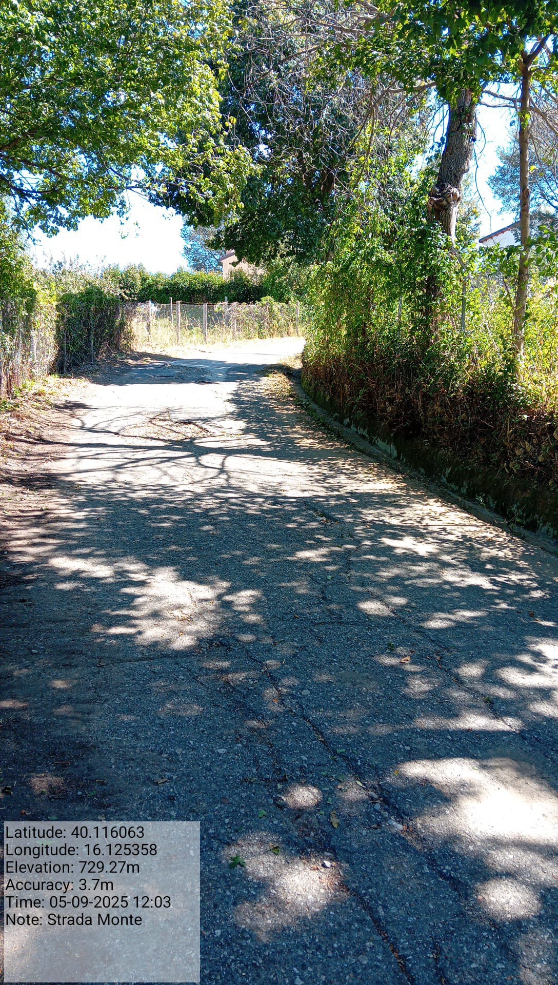 Galleria Fotografica Immagine