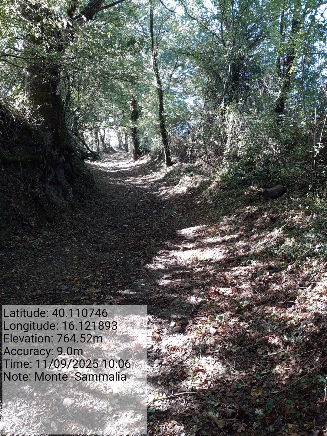 Galleria Fotografica Immagine