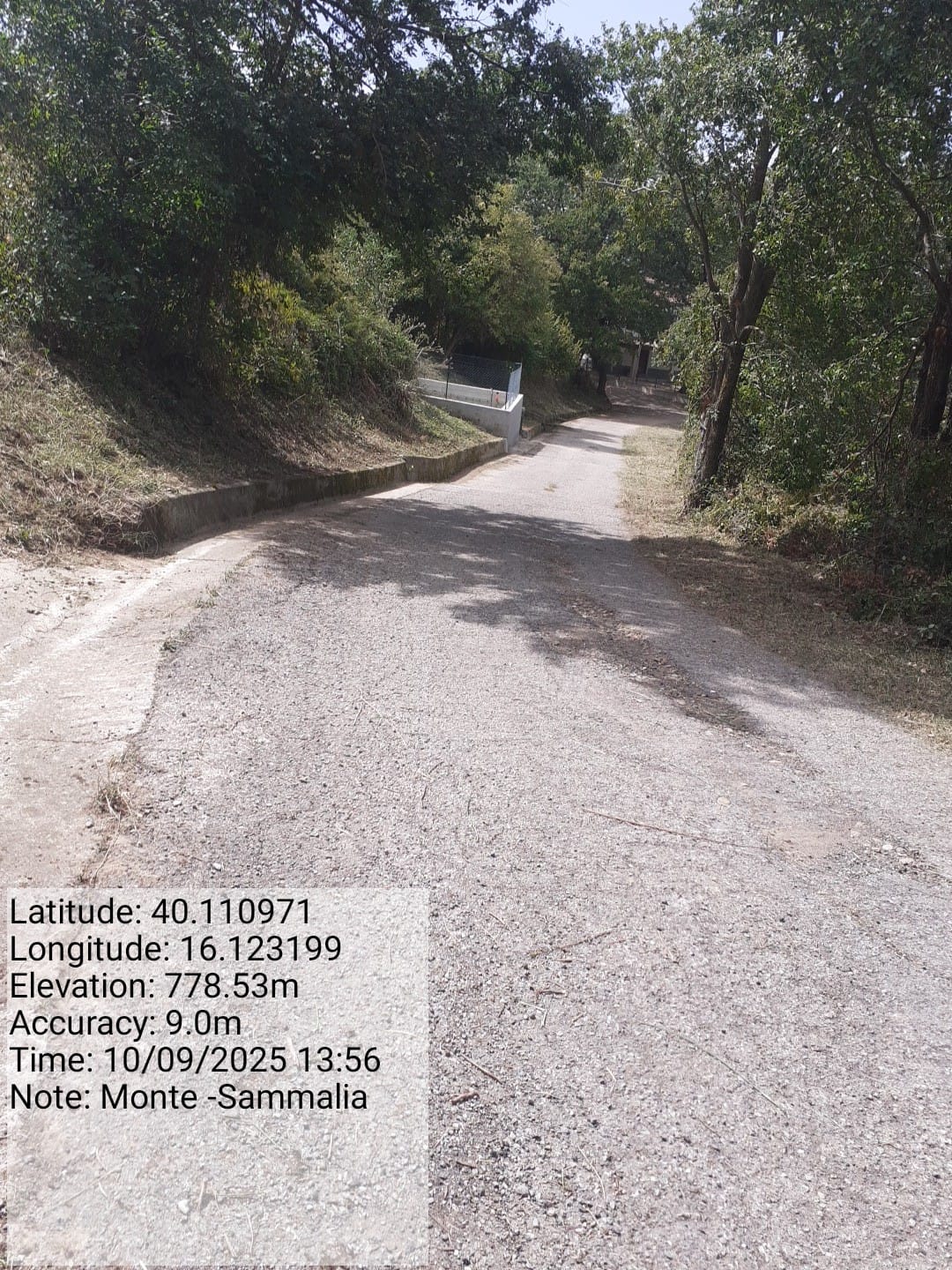 Galleria Fotografica Immagine