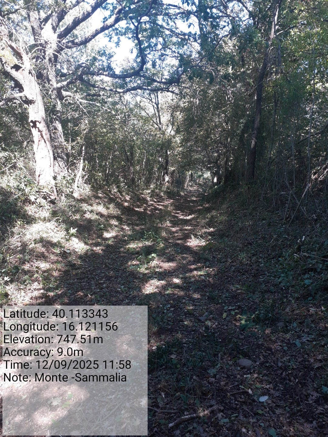 Galleria Fotografica Immagine