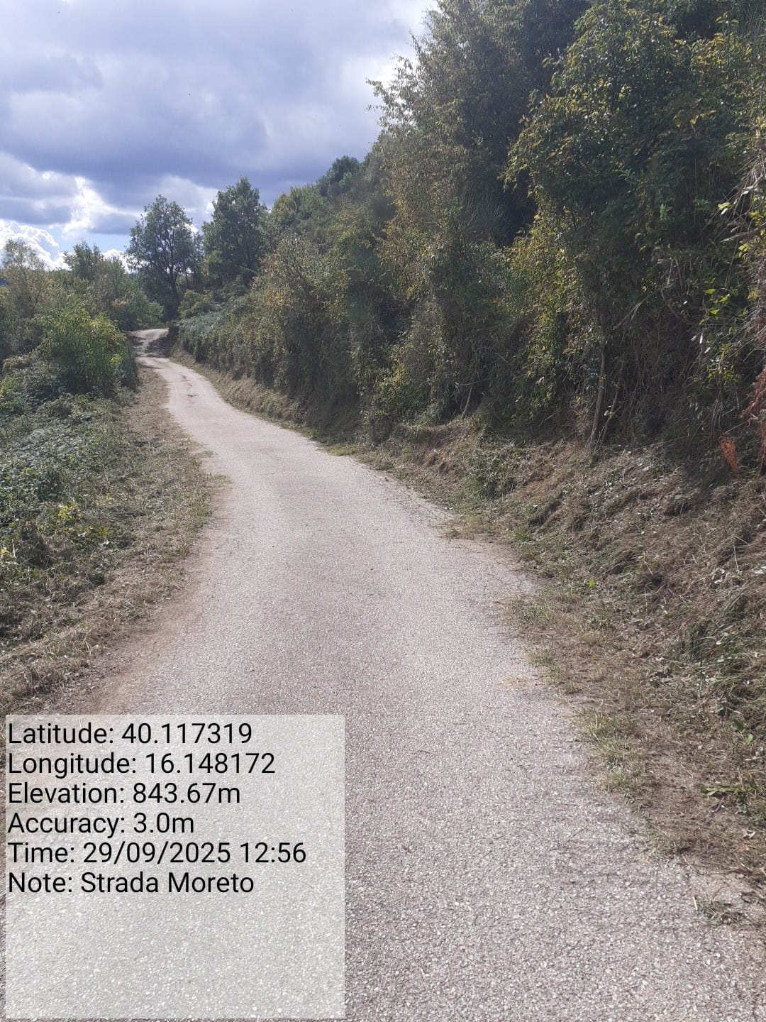 Galleria Fotografica Immagine