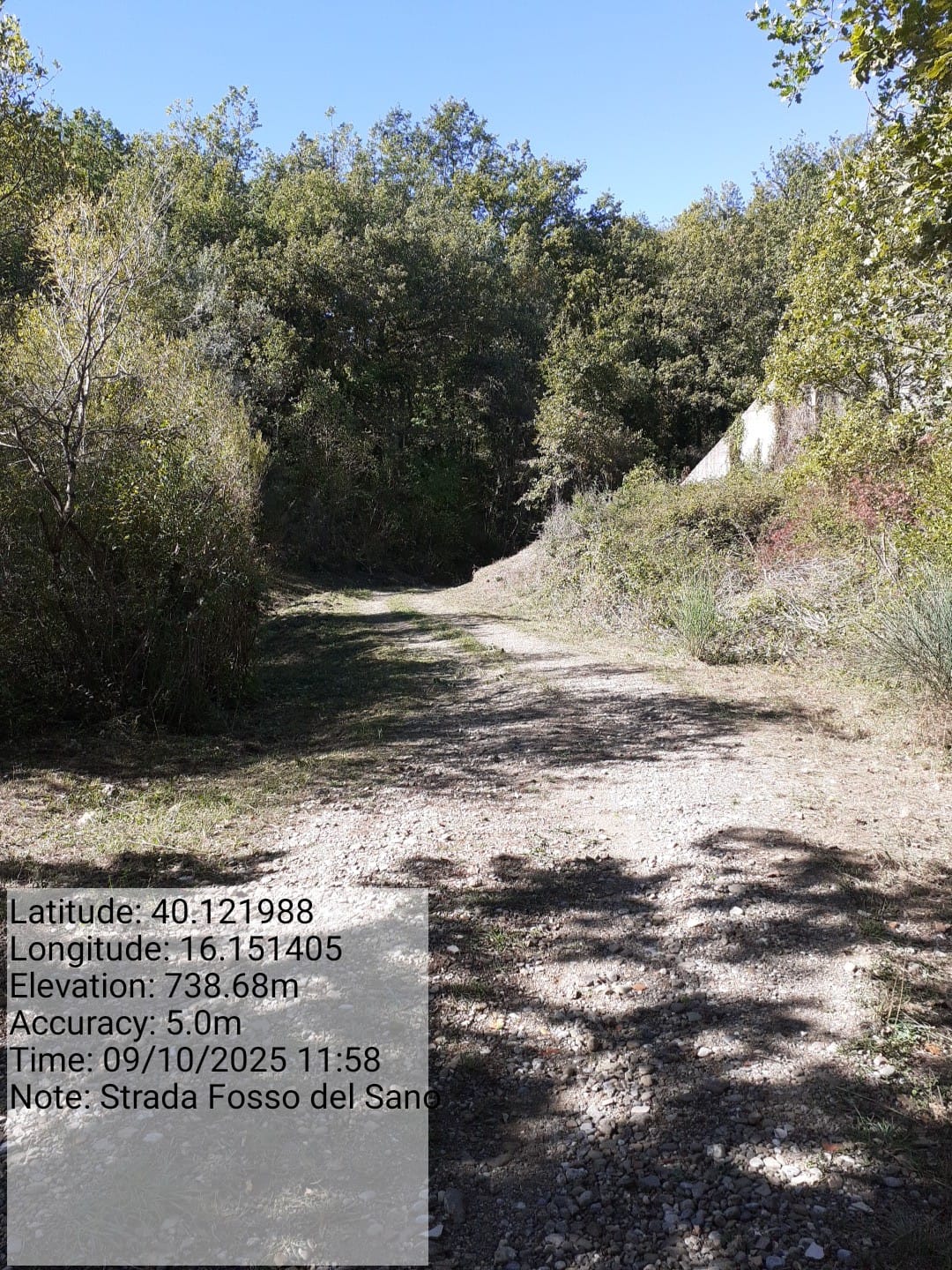 Galleria Fotografica Immagine