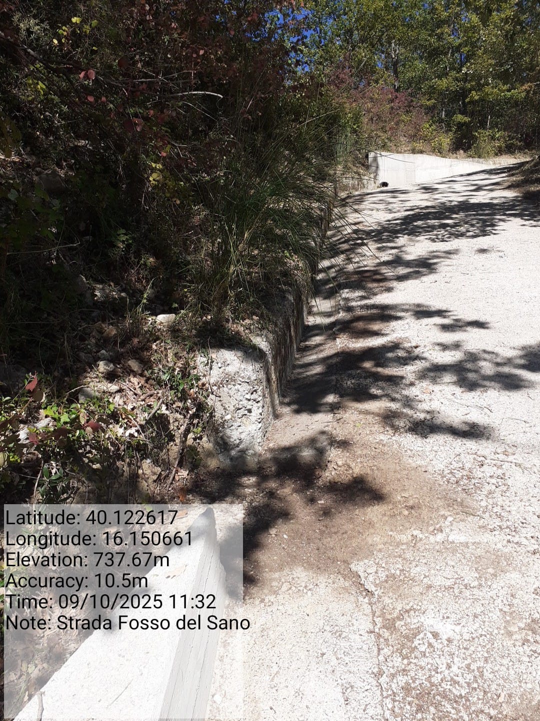 Galleria Fotografica Immagine