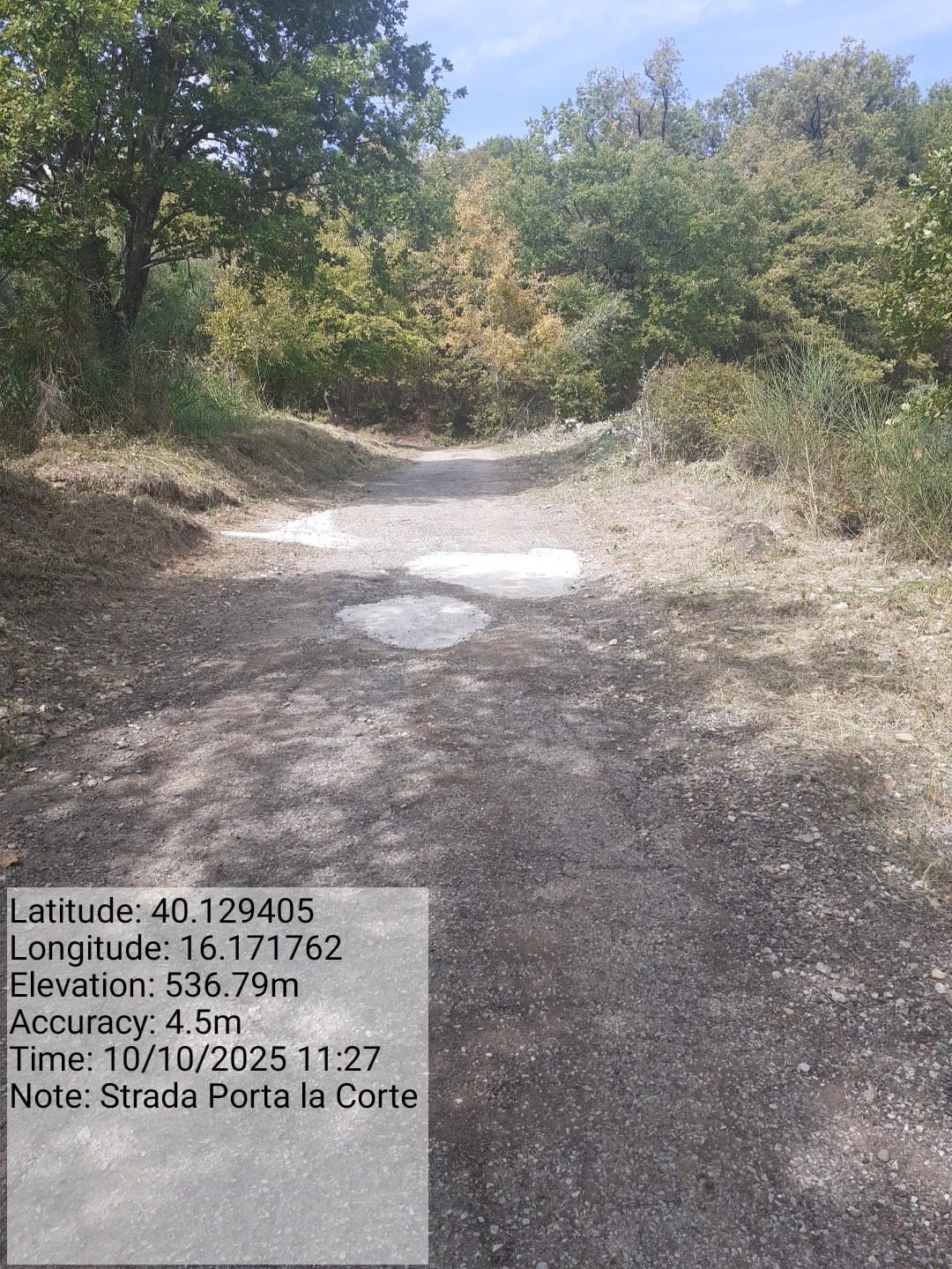 Galleria Fotografica Immagine