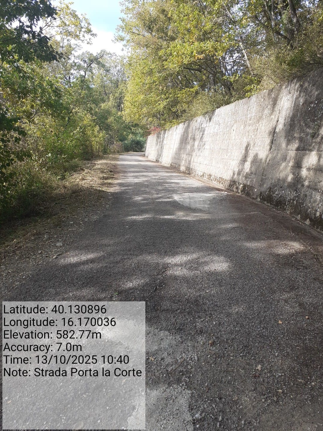 Galleria Fotografica Immagine