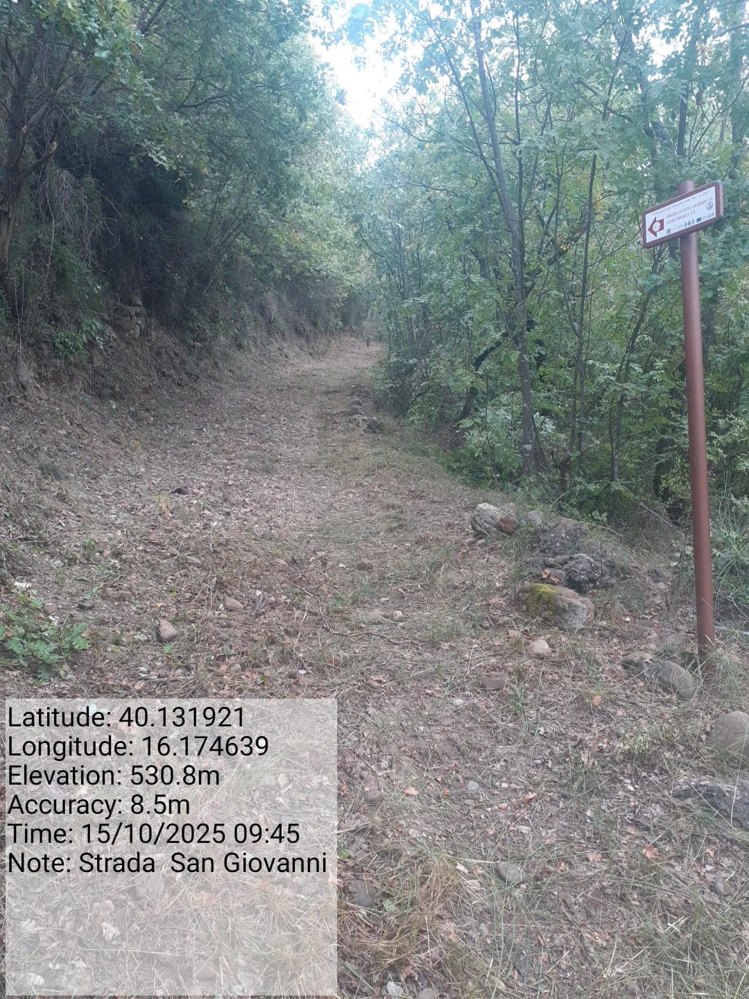 Galleria Fotografica Immagine