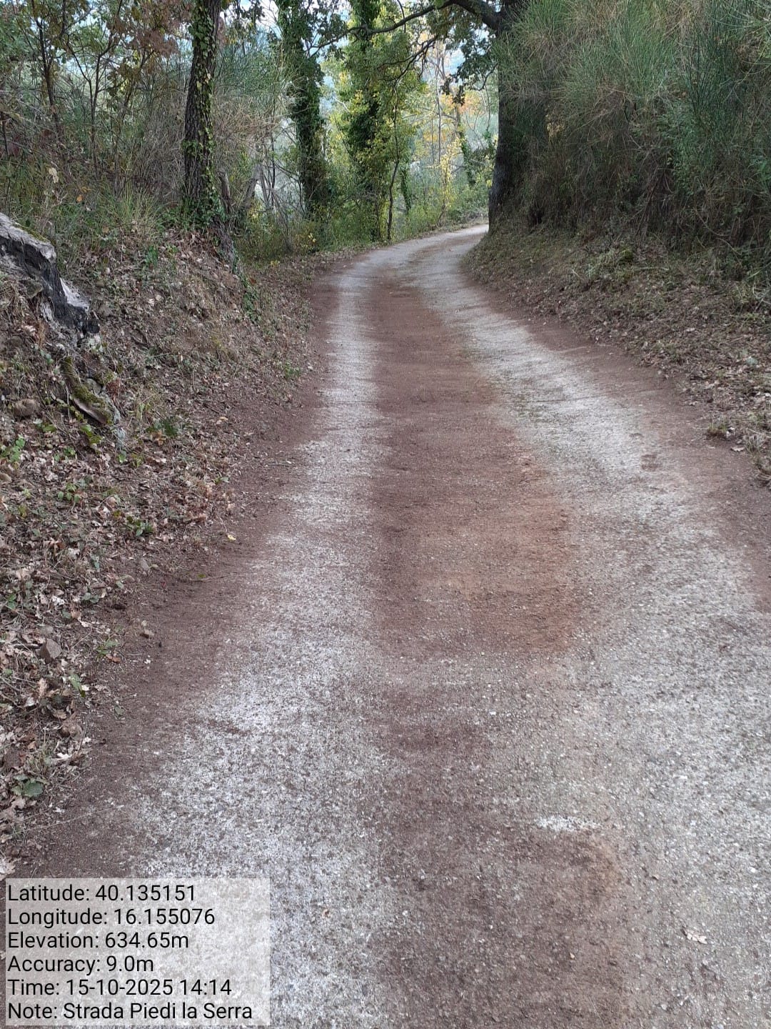 Galleria Fotografica Immagine