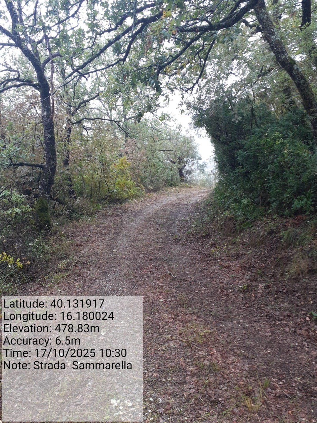 Galleria Fotografica Immagine