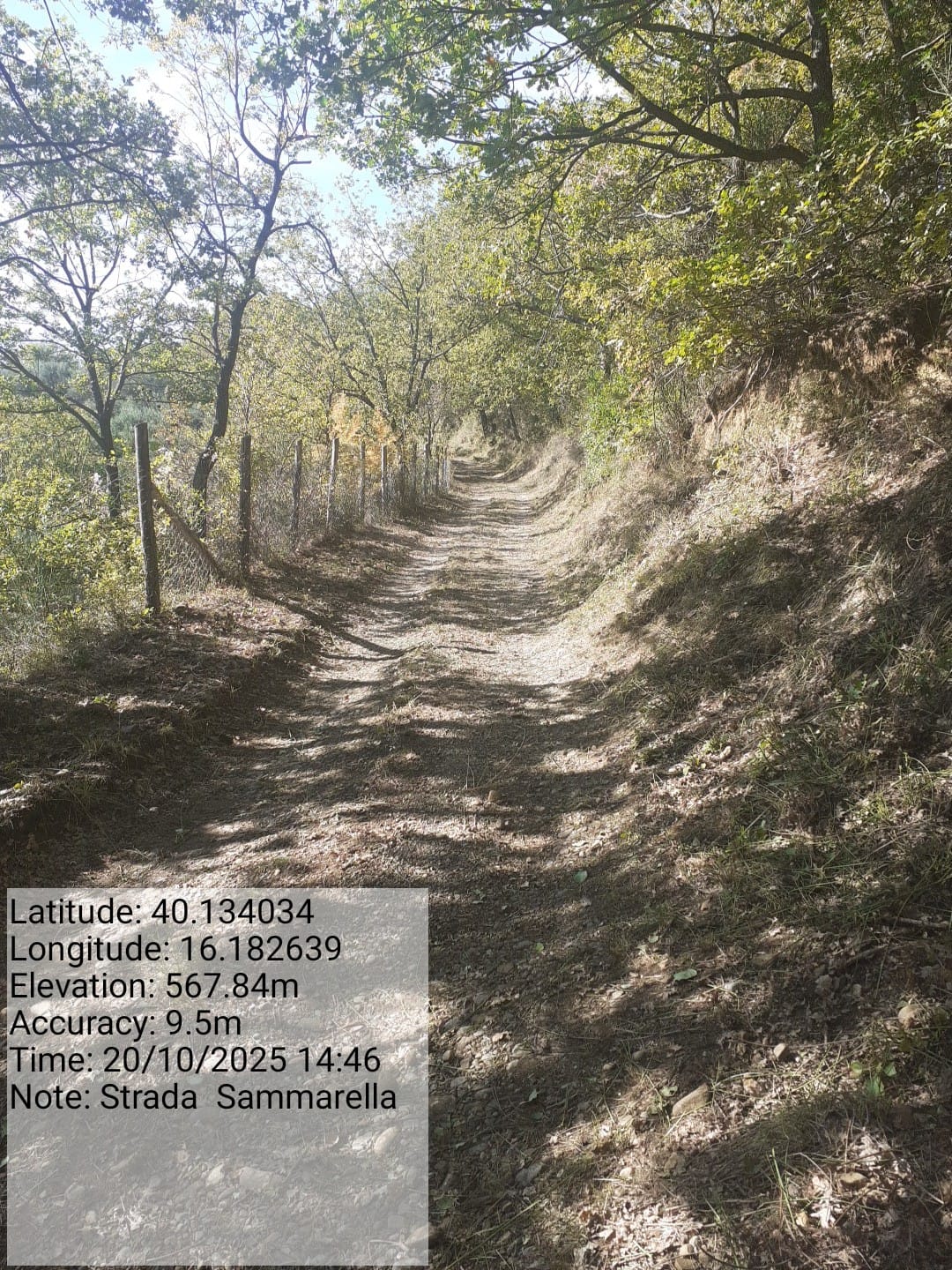 Galleria Fotografica Immagine