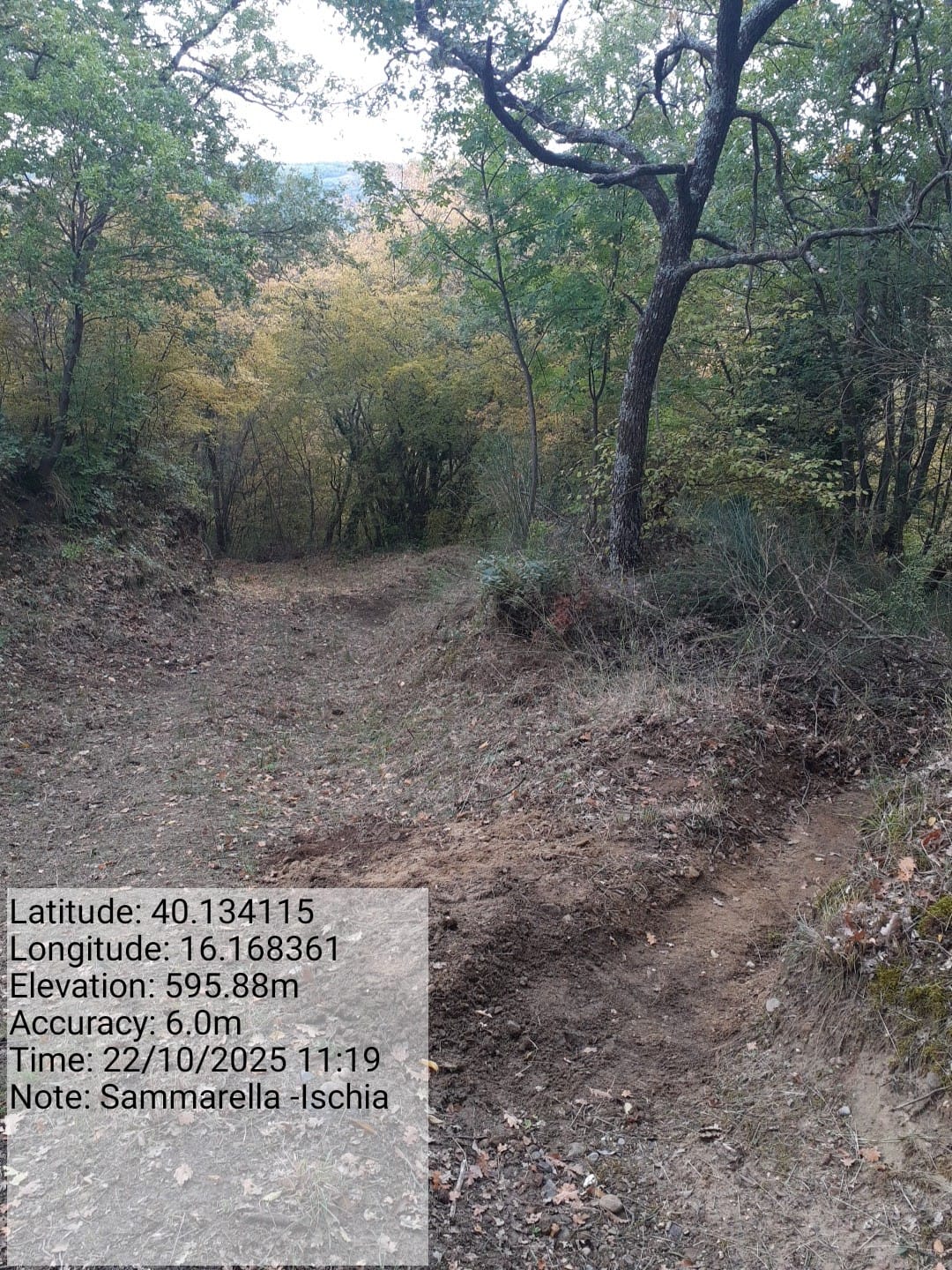 Galleria Fotografica Immagine