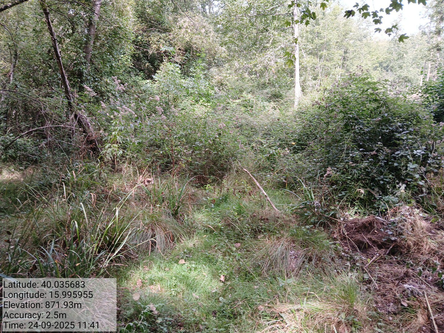 Galleria Fotografica Immagine