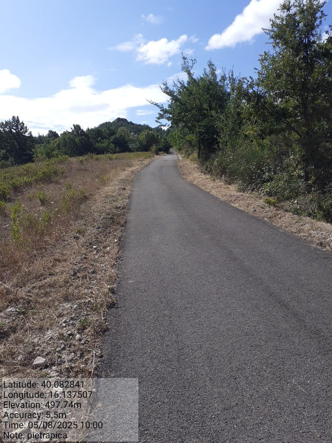 Galleria Fotografica Immagine