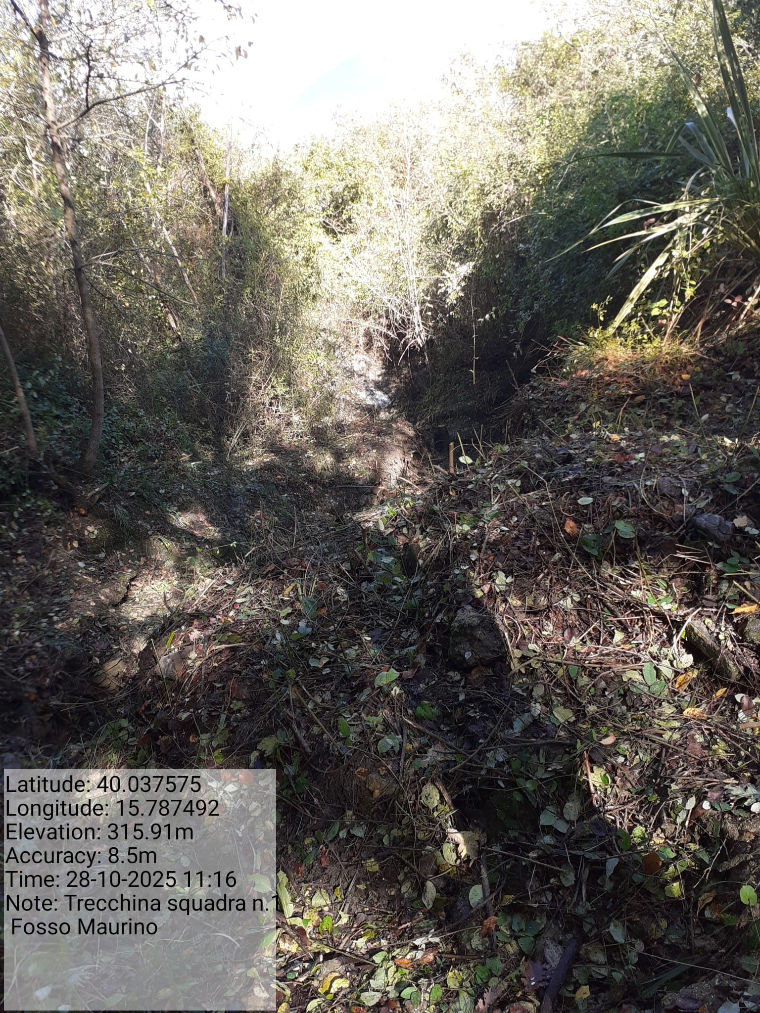 Galleria Fotografica Immagine