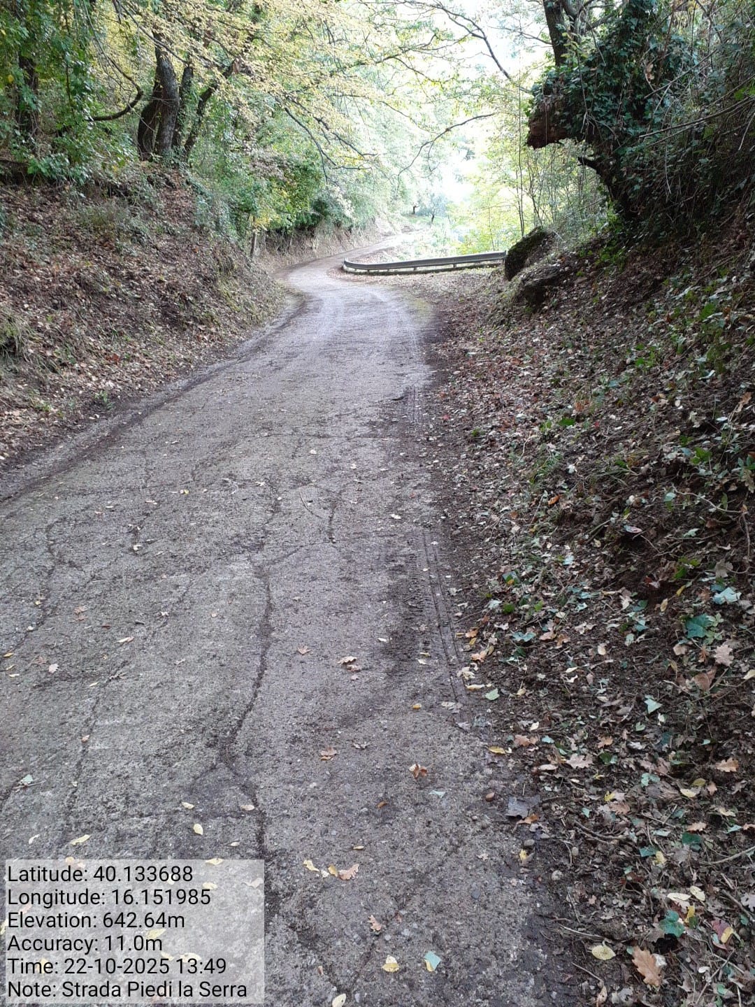 Galleria Fotografica Immagine