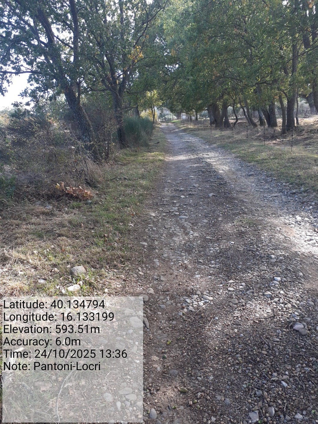 Galleria Fotografica Immagine