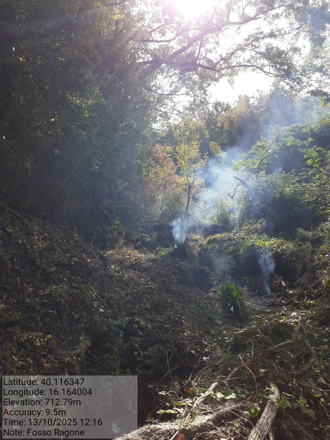 Galleria Fotografica Immagine