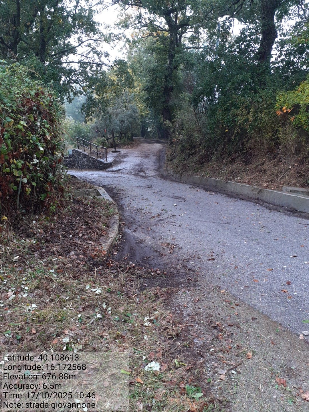 Galleria Fotografica Immagine