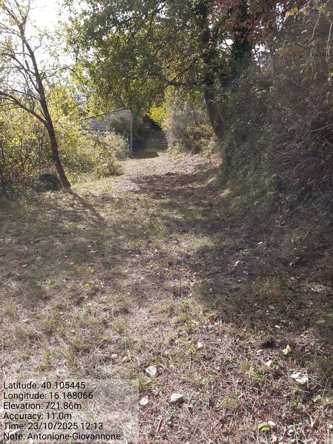 Galleria Fotografica Immagine