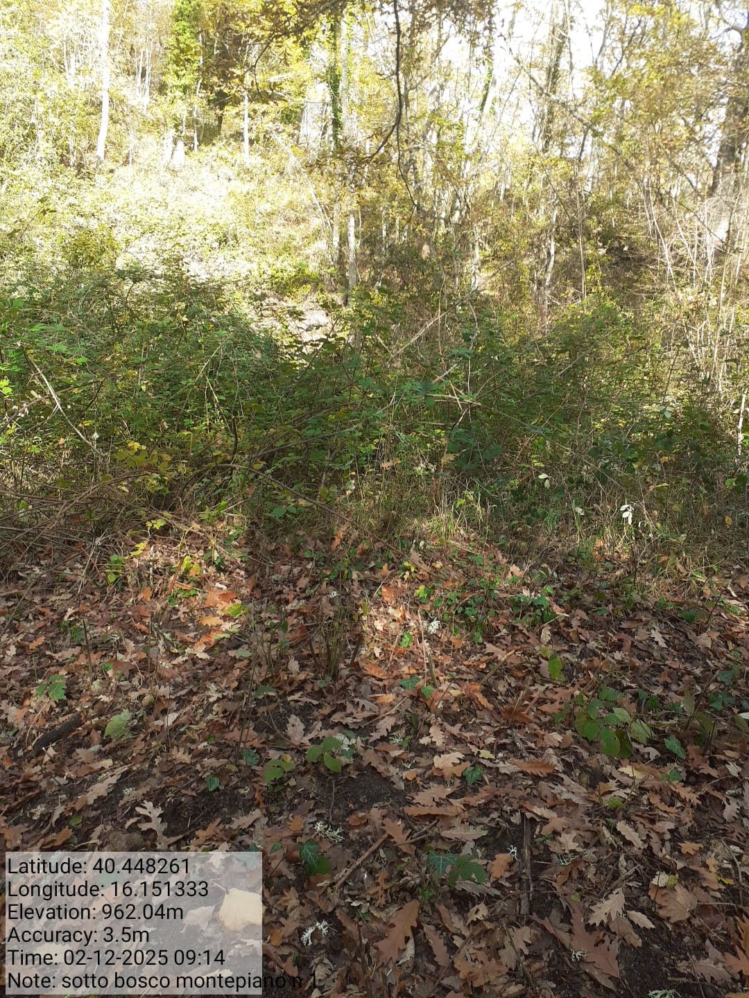 Galleria Fotografica Immagine