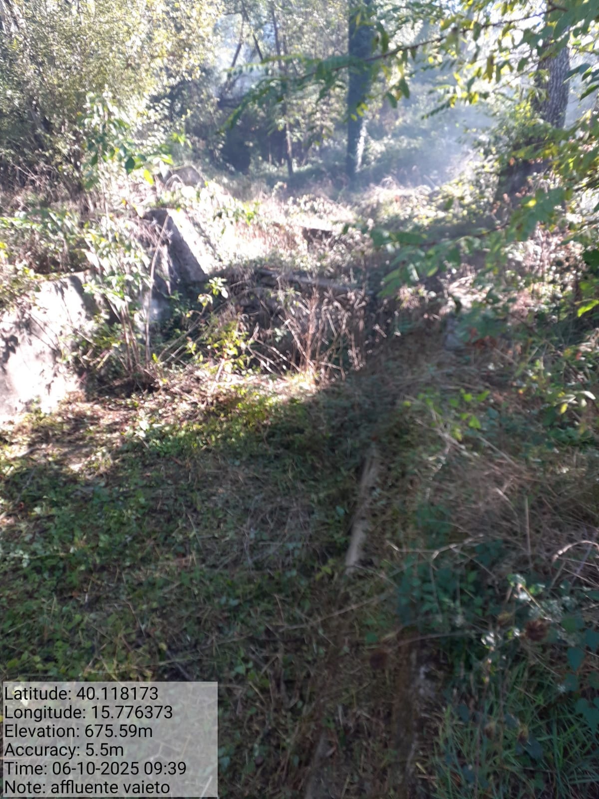 Galleria Fotografica Immagine