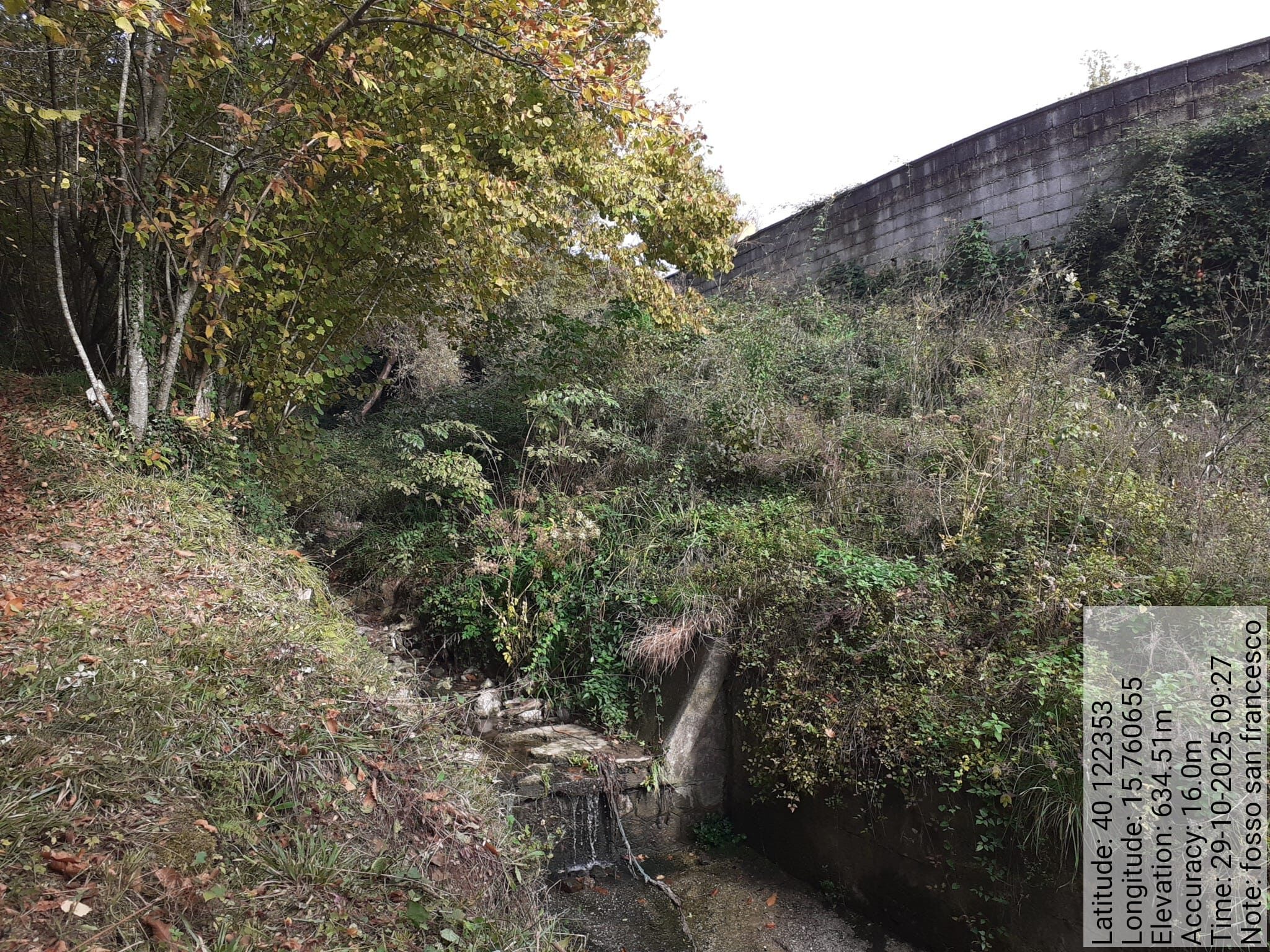 Galleria Fotografica Immagine