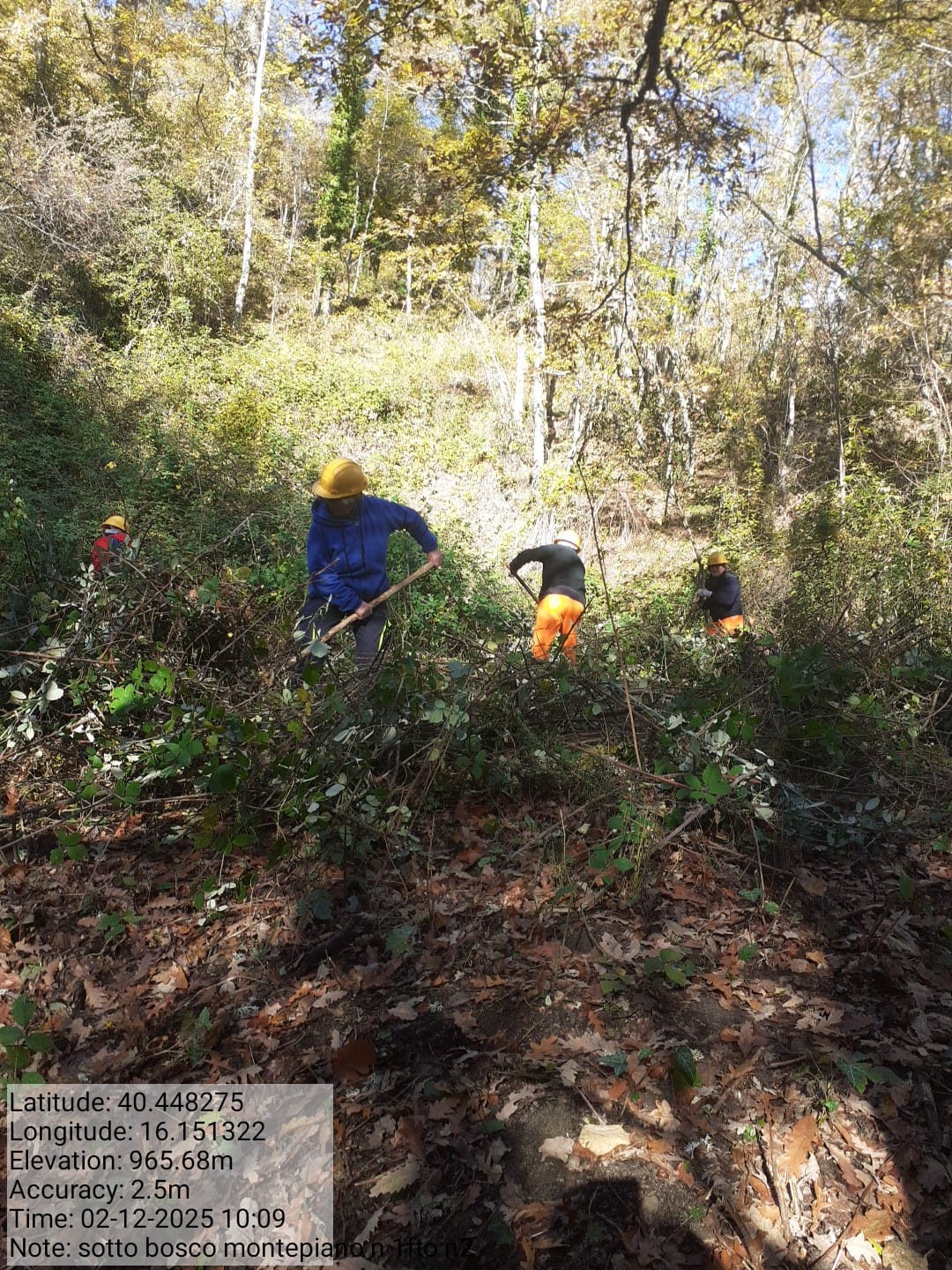 Galleria Fotografica Immagine