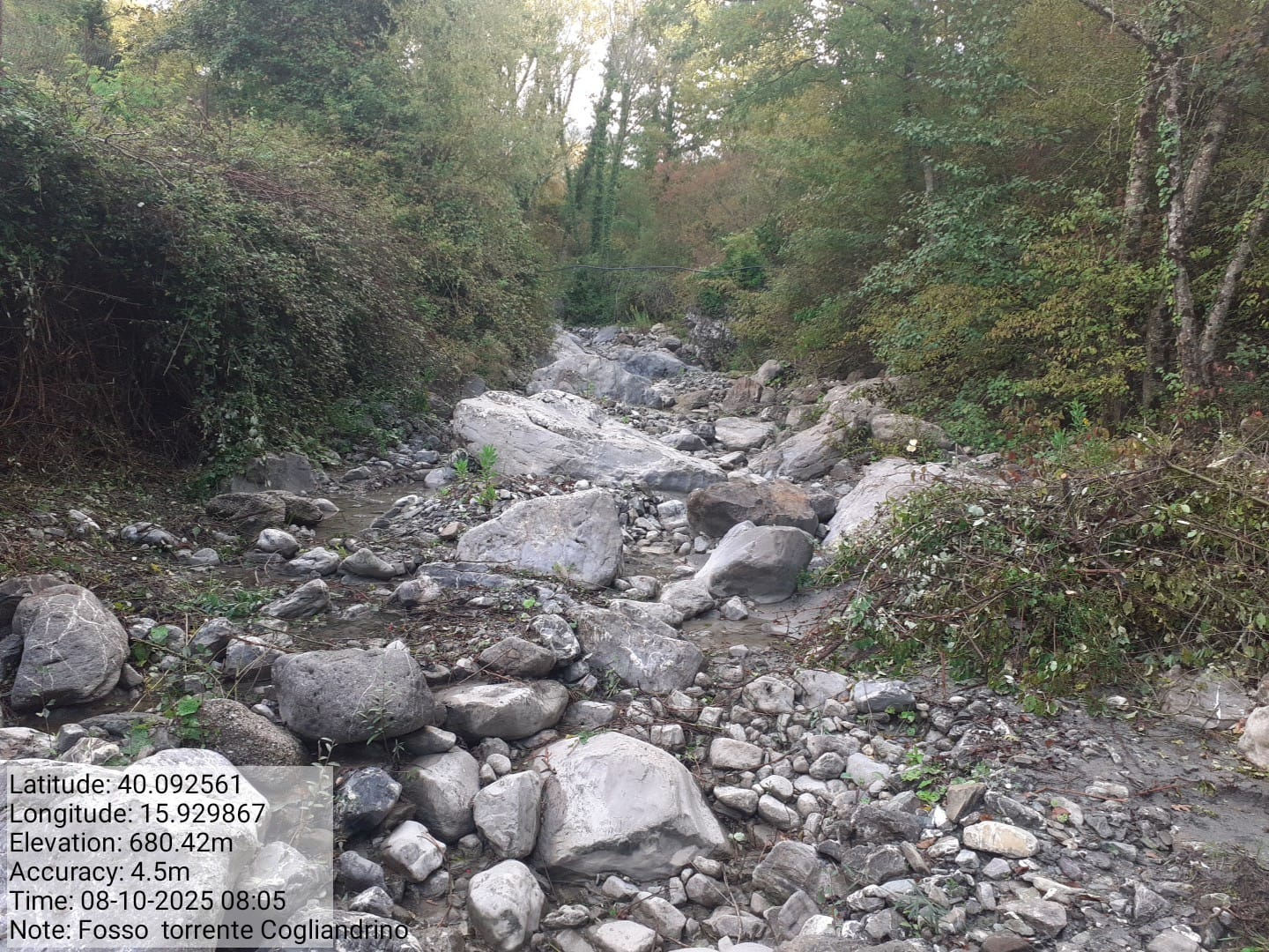 Galleria Fotografica Immagine