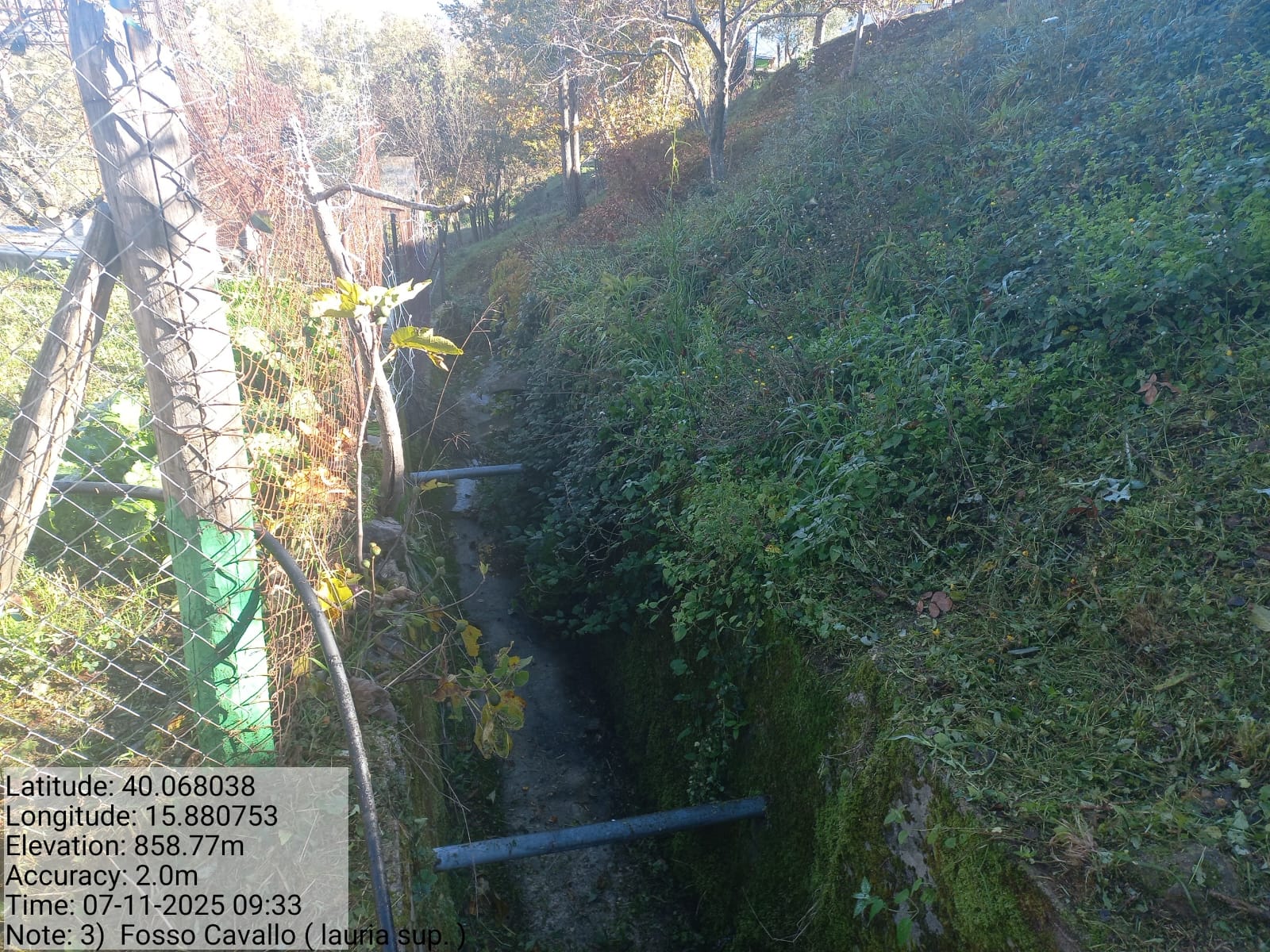 Galleria Fotografica Immagine