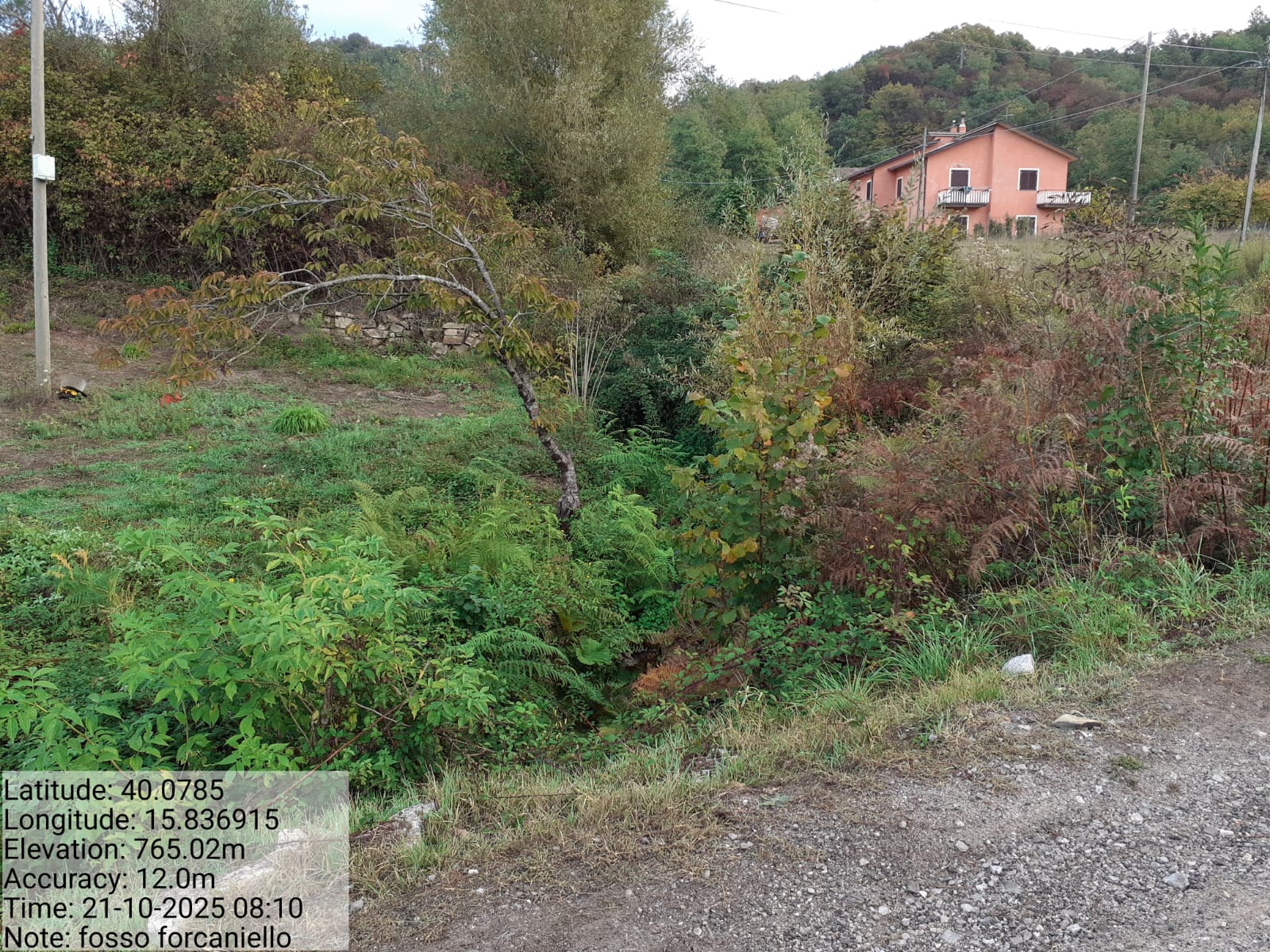 Galleria Fotografica Immagine