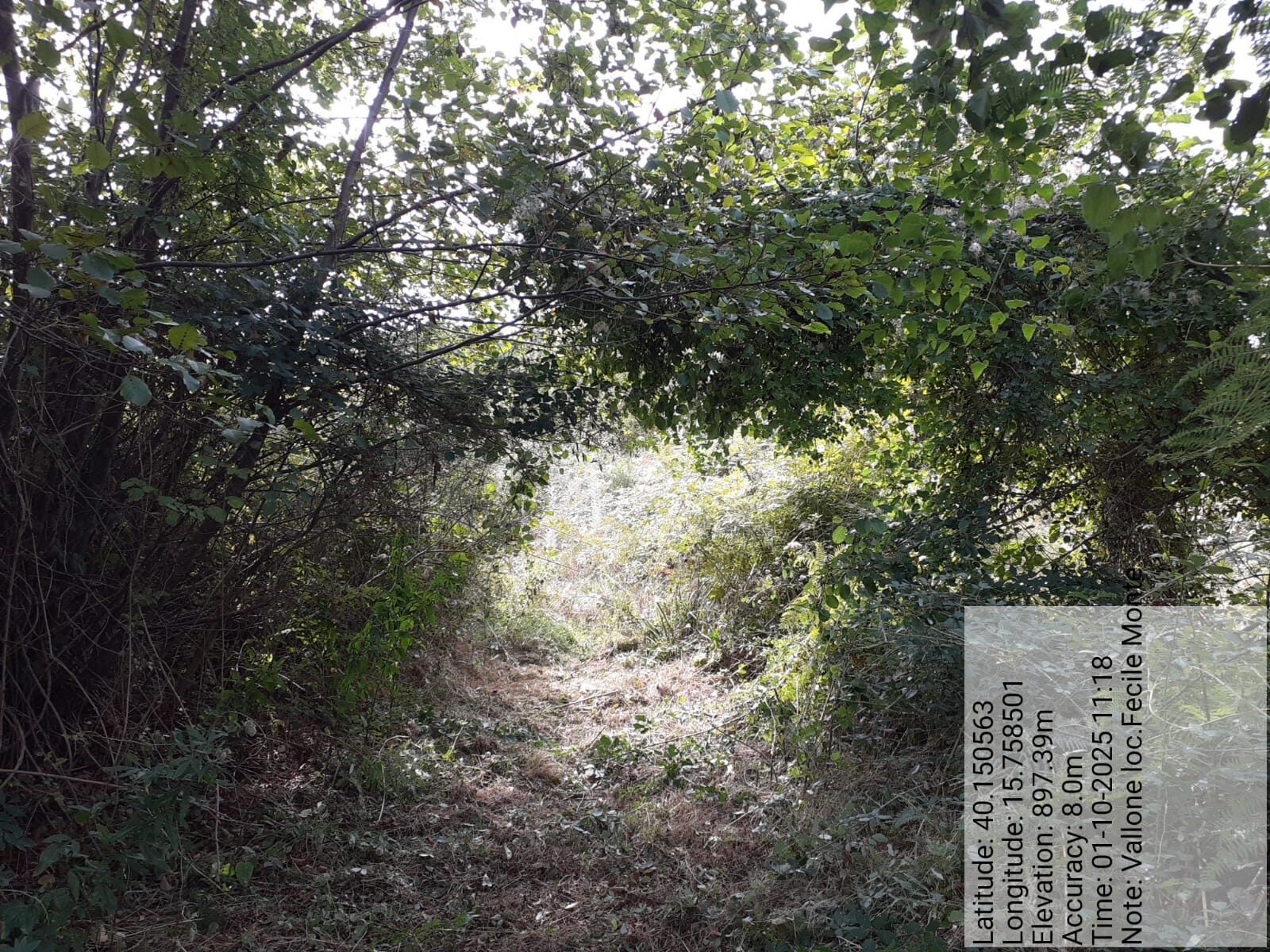 Galleria Fotografica Immagine