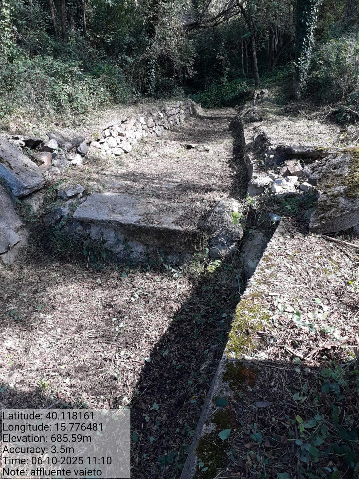 Galleria Fotografica Immagine