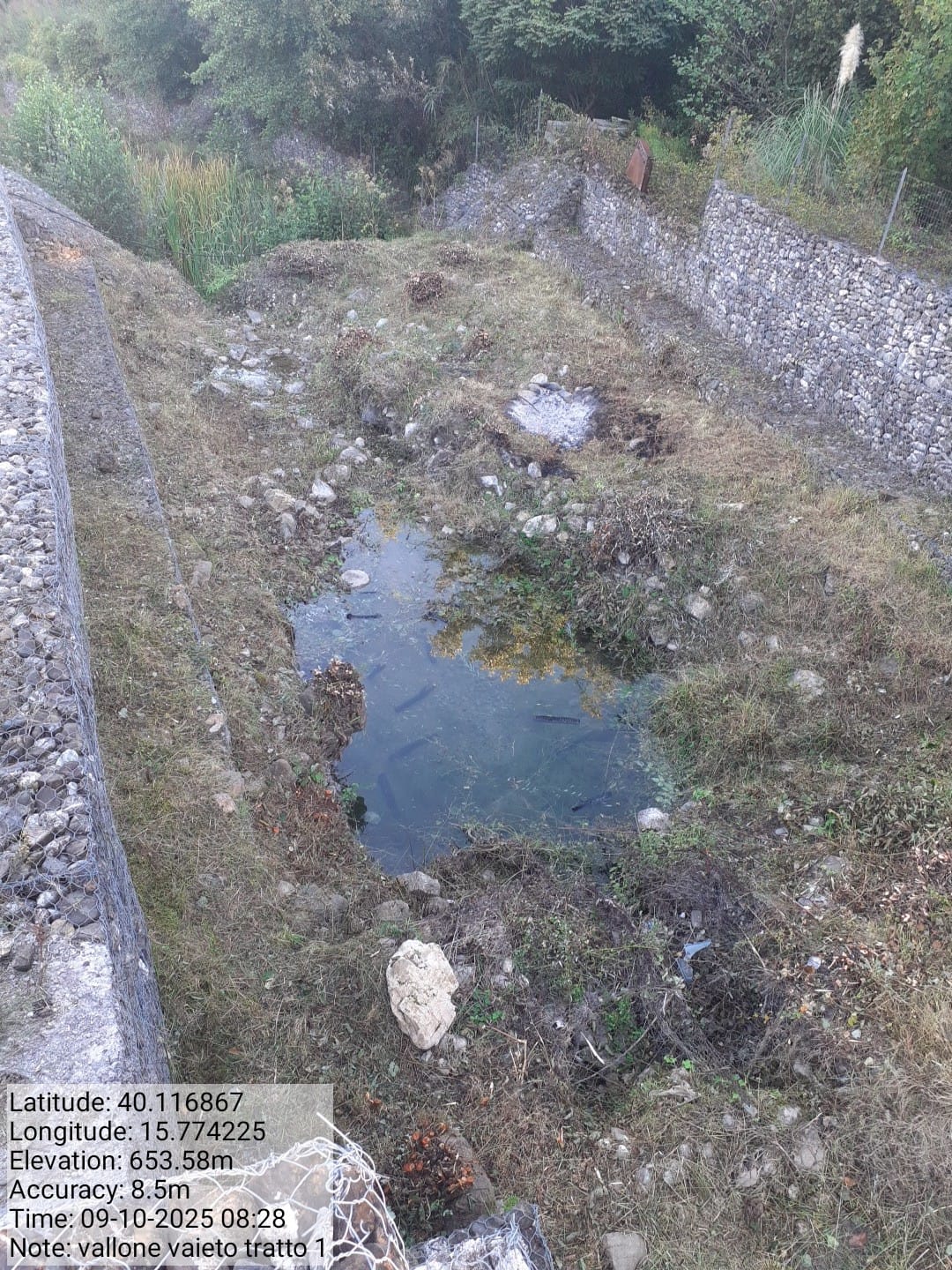 Galleria Fotografica Immagine