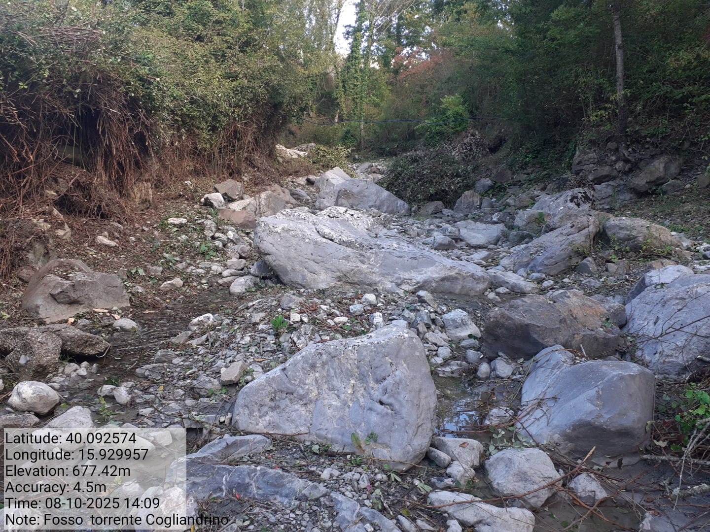 Galleria Fotografica Immagine