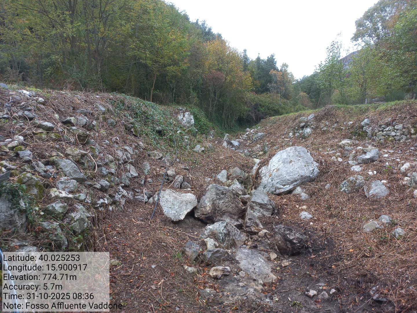 Galleria Fotografica Immagine