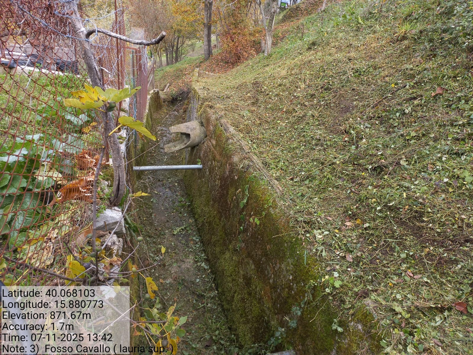 Galleria Fotografica Immagine