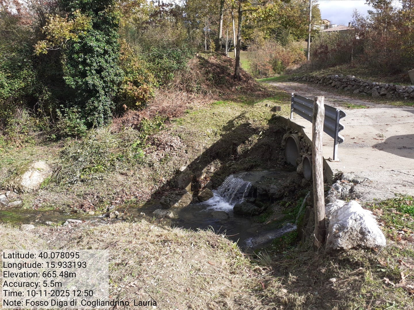 Galleria Fotografica Immagine